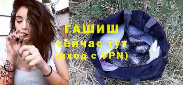 индика Киренск