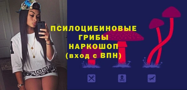 индика Киренск