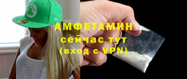 молекула духа Киреевск