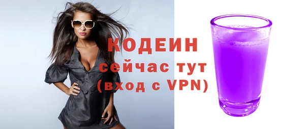 индика Киренск