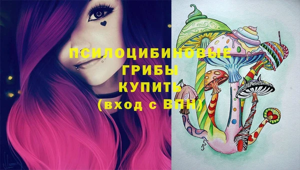 индика Киренск