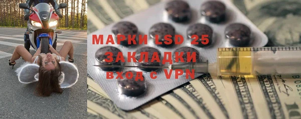 индика Киренск