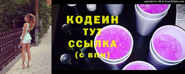 индика Киренск