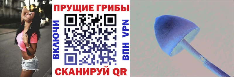 Псилоцибиновые грибы Magic Shrooms  Купить закладки  Миньяр 